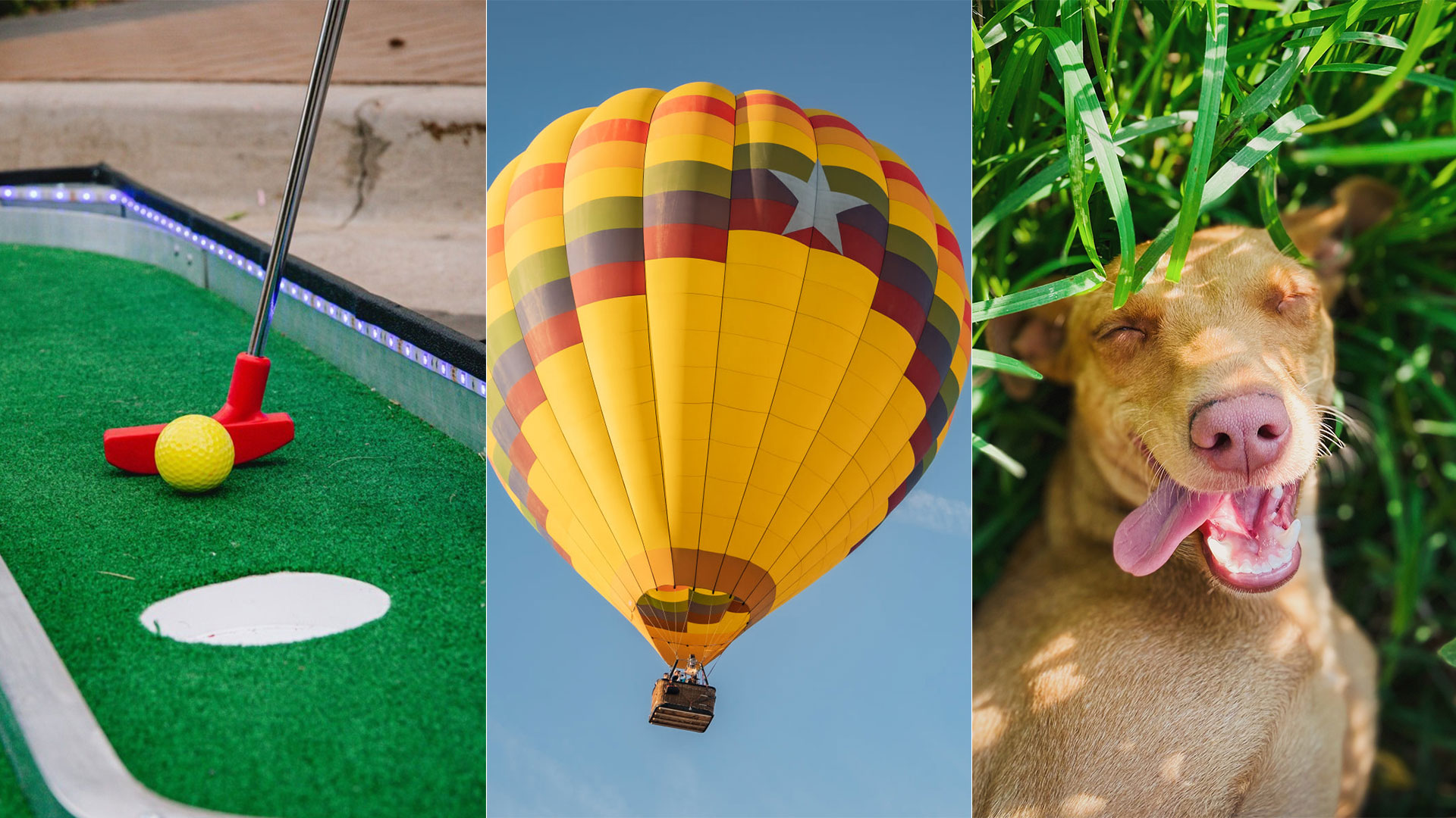 (Facebook Photo/Tempe Marketplace, Facebook Photo/Arizona Balloon Classic, Pexels Photo)...