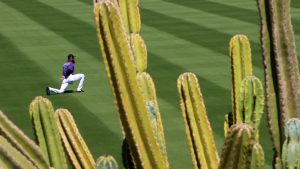 Spring training buzz nonexistent in Arizona as baseball lockout continues