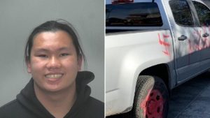 18-year-old accused of spray-painting obscenities, slurs on vehicles in Avondale