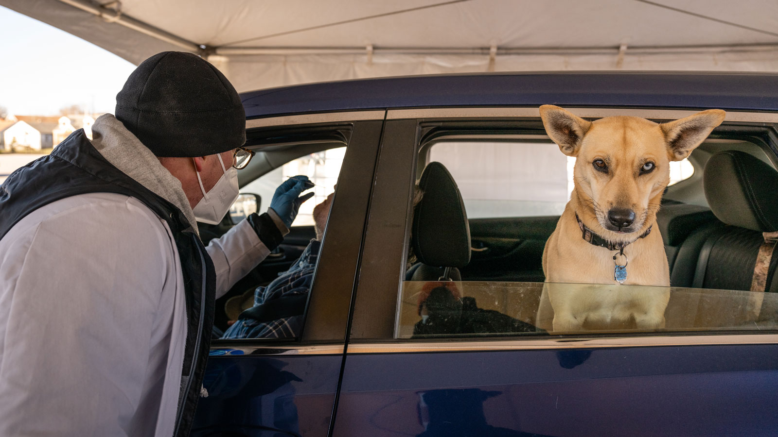 Bruce, a dog, looks on as his owner has his nose swabbed by a Bluewater Diagnostic Laboratories tec...