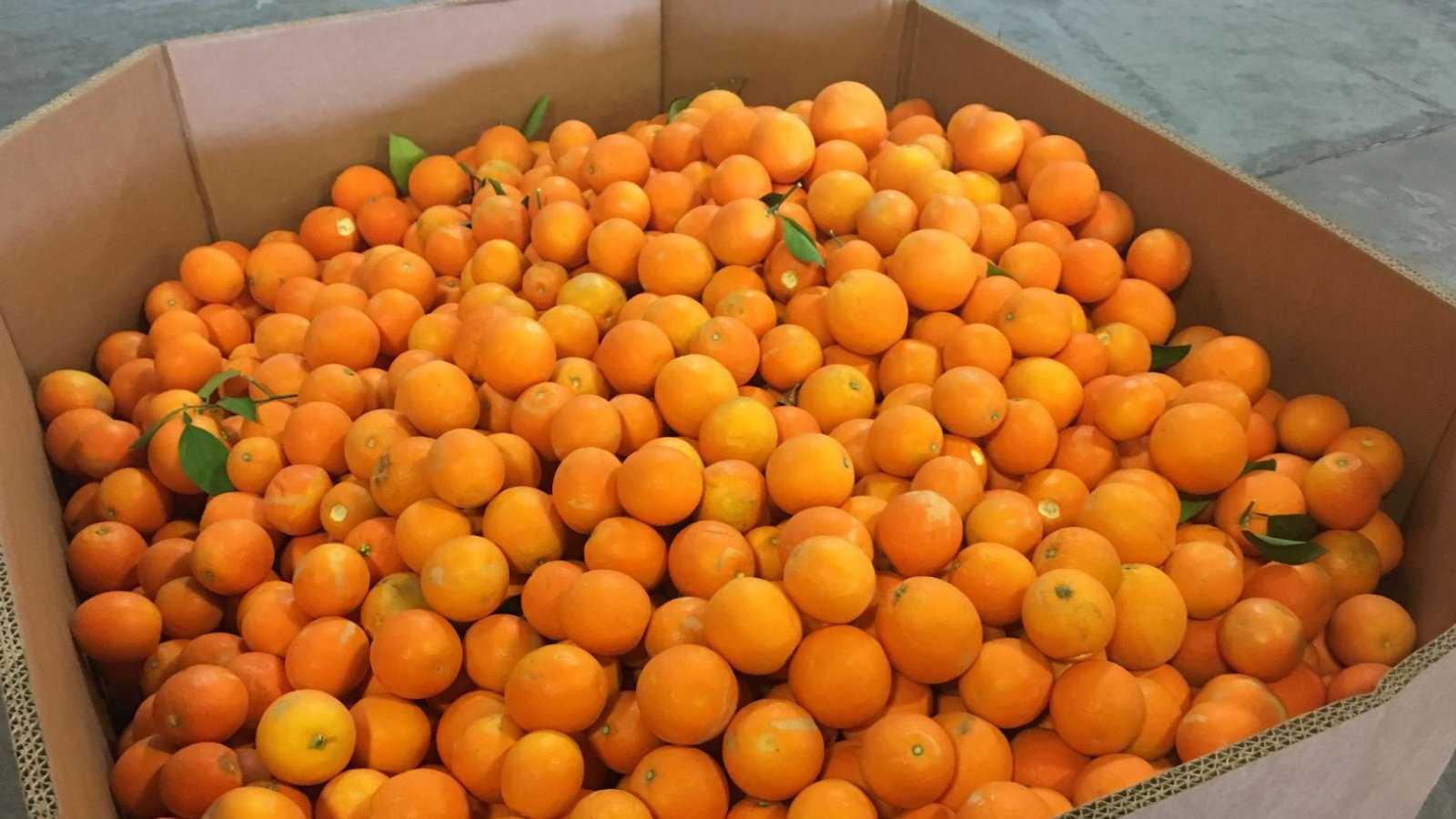 (Twitter File Photo/@StMarysFoodBank)...