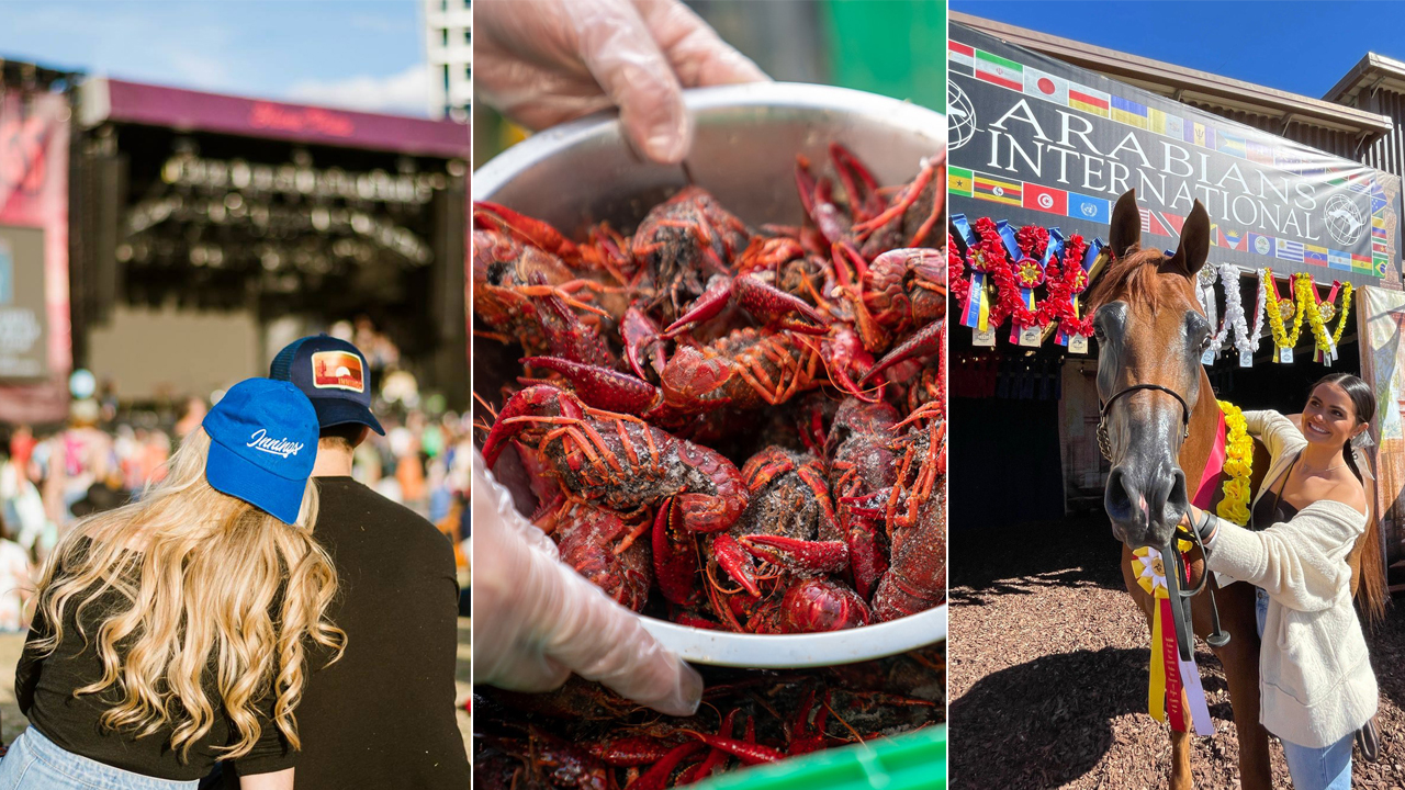 (Facebook Photos - Innings Festival, Southwest Cajun Fest, Arabian Horse Association of Arizona)...