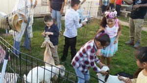 Bunny Balloon Blast to take over Salt River Fields for Easter celebration