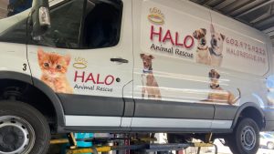 Thieves steal gas, damage Phoenix animal rescue van for 2nd time