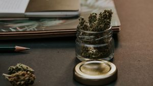 Scottsdale Community College offers new cannabis business certificate program
