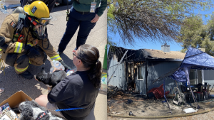 Fire crews rescue 2 dogs from burning Phoenix home