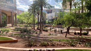 Downtown Phoenix StoryWalk debuts at Arizona Center on Saturday