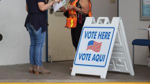 Arizona woman who cast dead woman's ballot pleads guilty in voter fraud case
