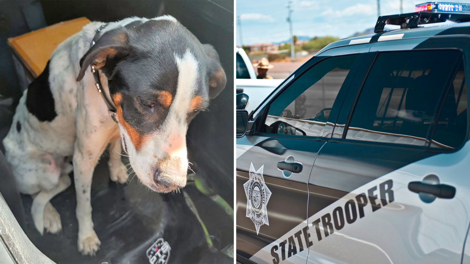 (Arizona Department of Public Safety Photos)...