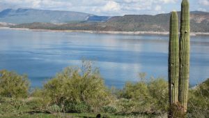 Search crews find body of man who jumped off fishing boat at Lake Pleasant