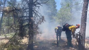 Containment continues to grow on northern Arizona wildfires