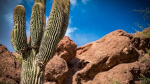 Heat wave to close select Phoenix trails during day, activate relief stations around Valley