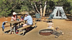 Grand Canyon, Petrified Forest national parks ease fire restrictions
