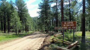 New fire restrictions to begin in 3 national forests, plus State Trust lands across Arizona