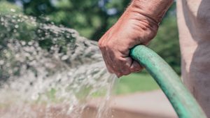 Glendale declares drought watch, asks people to conserve water