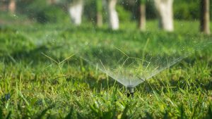 Phoenix and Tempe implement drought plans, ask people to conserve water