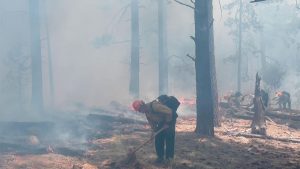 Crews keep Arizona wildfires fires in check despite hot, dry conditions