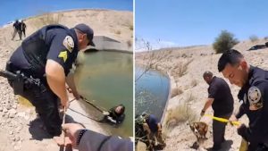 Woman, dog rescued from Arizona canal after 18-hour ordeal