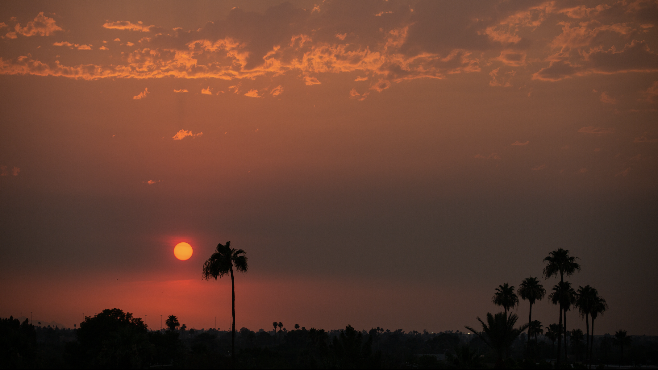 (Photo by Caitlin O'Hara/Getty Images)...