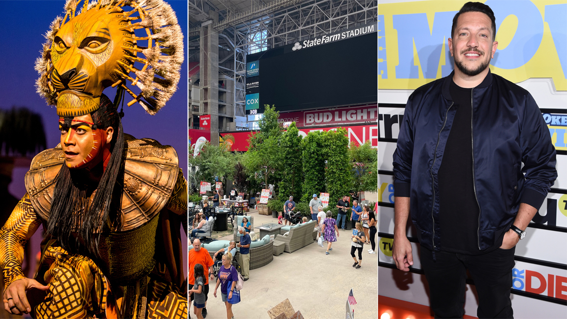 (Disney Photo/Matthew Murphy, Facebook Photo/ Maricopa County Home Shows, Jamie McCarthy/Getty Imag...