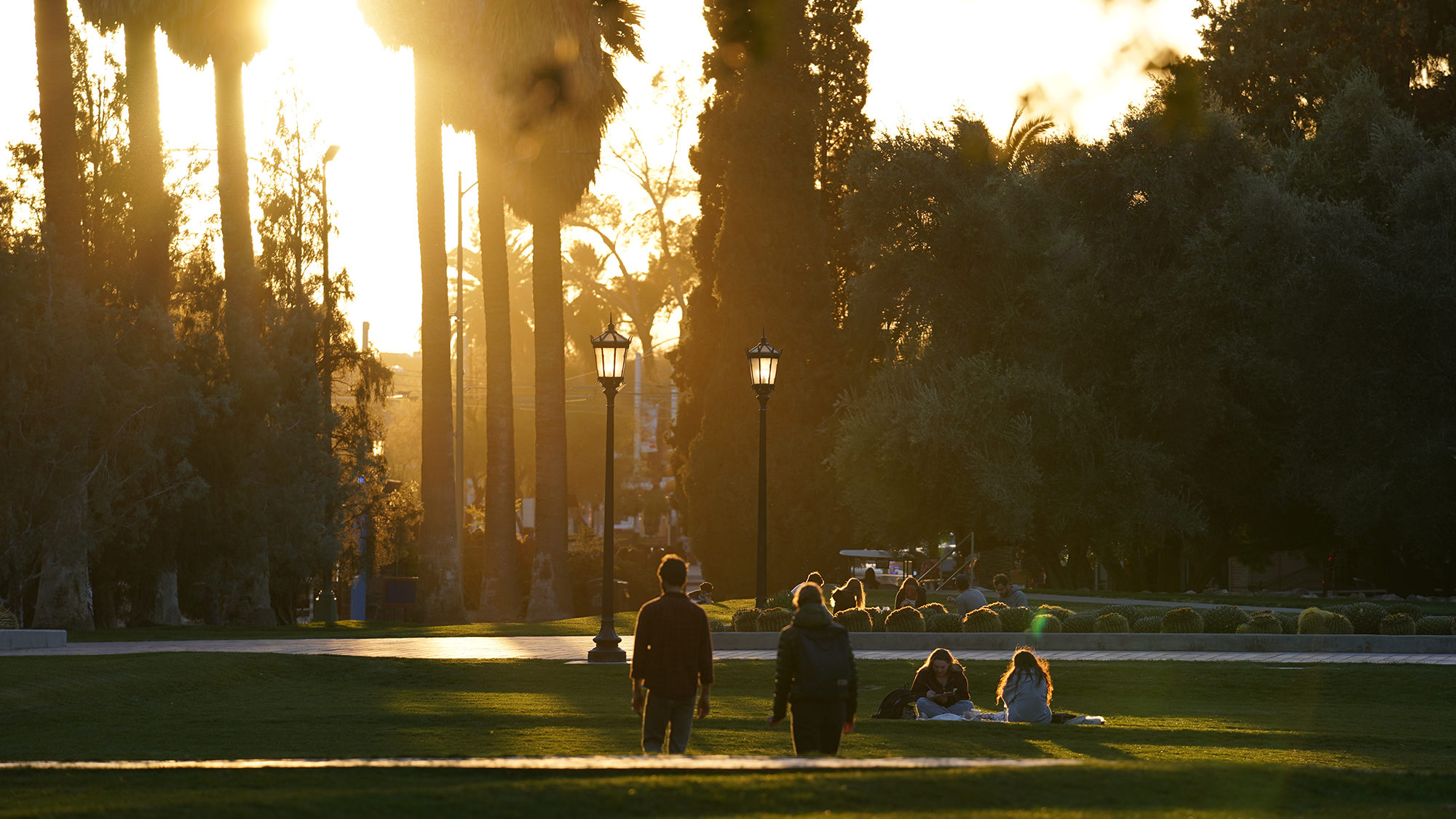(Facebook Photo / University of Arizona)...