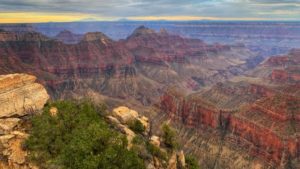 Man dies after falling near North Rim of Grand Canyon National Park