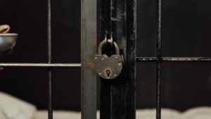 Arizona man gets 13-year prison sentence for shooting at federal agent