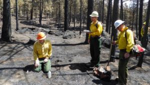 Arizona receives $10 million from infrastructure law to reduce wildfire risk