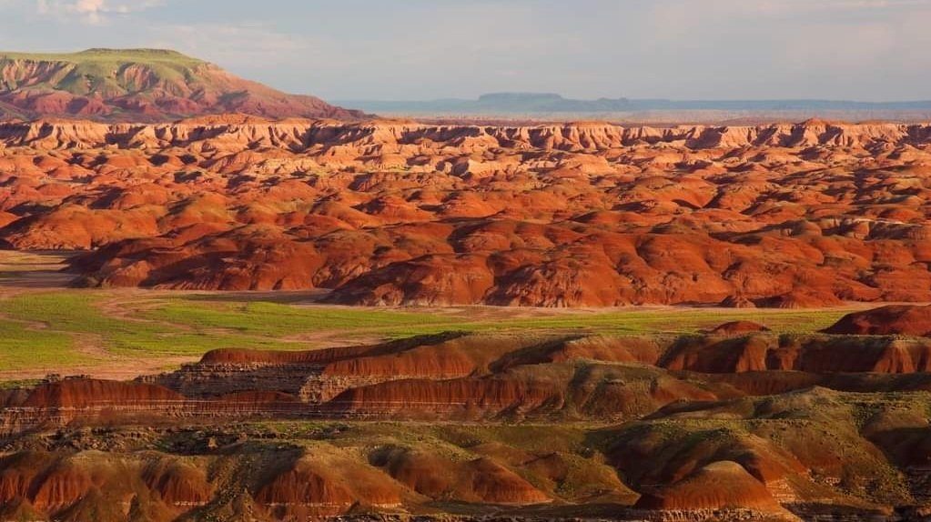 (Twitter Photo / @PetrifiedNPS)...