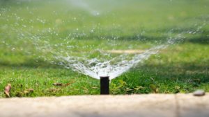 $37.5 million injection to reboot Tempe water treatment plant after 12-year shutdown