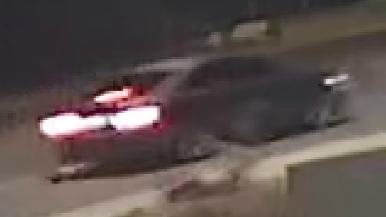(Mesa Police Department Photo)...