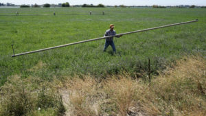 Rep. Ruben Gallego digs in for fight against foreign companies over Arizona groundwater