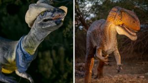 Phoenix Zoo offers three nights of Dino Trick or Treat before Halloween