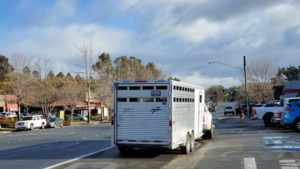 2 US citizens arrested for smuggling horse trailer full of migrants into Arizona