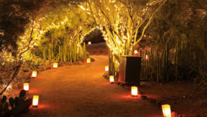 Lighting the way to great holiday lights displays