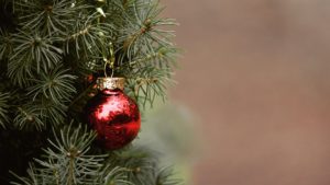Here's where to recycle live Christmas trees around metro Phoenix