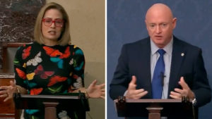 Sinema, Kelly and other US senators to visit Arizona-Mexico border