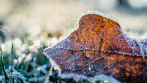 Cold temperatures to settle across metro Phoenix for several days