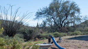 Arizona Gov. Hobbs vetoes Rio Verde Foothills water bill, favors second bill