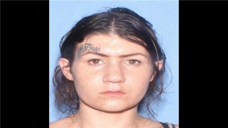 (Mesa Police Department Photo)...