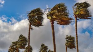 Winds reaching 50 mph could blow through metro Phoenix this week