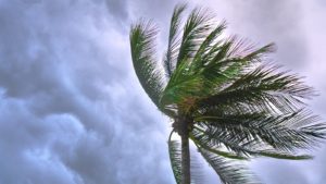 Rainy, windy weather to make return to metro Phoenix this week