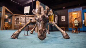 Ripley's Believe It or Not! makes return to Scottsdale's Arizona Boardwalk