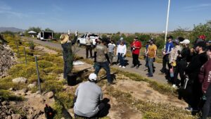 Arizona urban forestry program receives $6 million to increase tree canopy