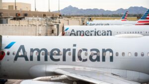 Engine fire on flight to Phoenix puts renewed focus on recurring bird strikes