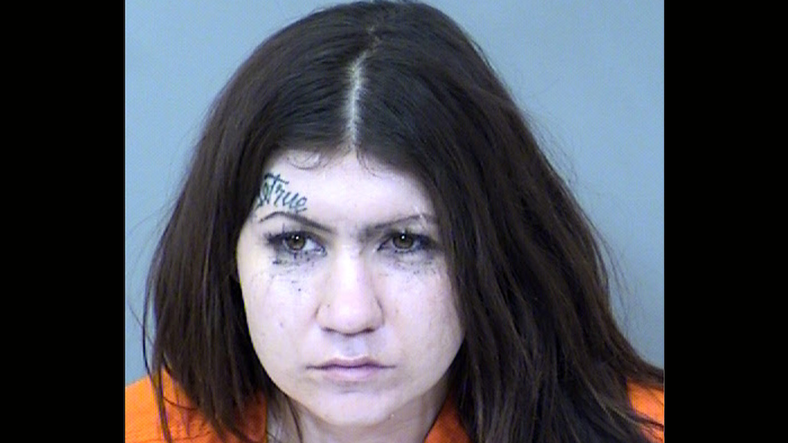 Kathryn Hansen (Maricopa County Sheriff's Office Photo)...