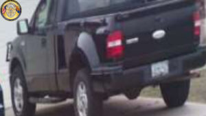 Men posing as gas company workers assault Peoria resident, steal truck