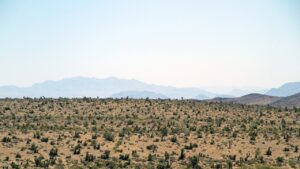 Police investigate after woman is found dead in north Phoenix desert area