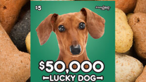 Arizona Lottery launches Lucky Dog scratchers with top prize of $50K