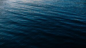 MCSO recovers body in Mesa lake after man went missing in the water